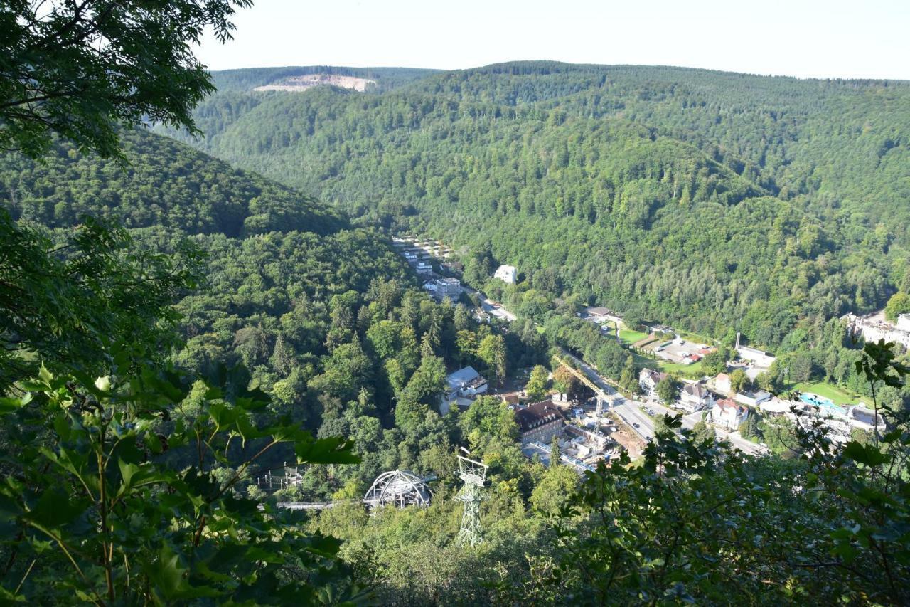Bergbluete Apartamento Bad Harzburg Exterior foto